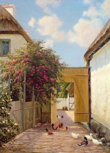 Baromfi és kacsa alkotó: Hans Hilse