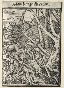Haláltánc: Ádám földet művel alkotó: Hans Holbein