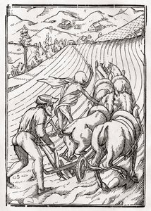 A földművesért vagy férjért a halál jön, Georg Scharffenberg metszete a „Der Todten Tanz” című művéből, Bázel, 1843 alkotó: Hans Holbein der Jüngere