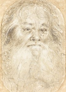 Tanulmány egy szakállas férfiról [verso] alkotó: Hans Holbein the Elder