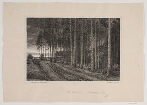 Esős ​​nap a lucfenyőben alkotó: Hans Julius Fæster