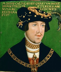 II. Lajos magyar király portréja (1506-1526)