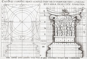 A korinthoszi tőke keresztmetszete és arányos rajza alkotó: Hans Sebald Beham