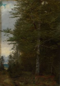 Bükkfa az erdő szélén alkotó: Hans Thoma