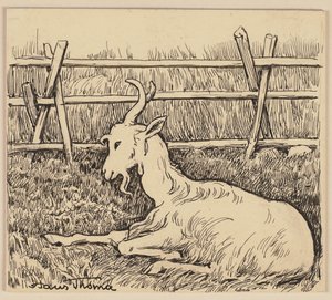 Rajz az olvasókönyvhöz: Kecske alkotó: Hans Thoma