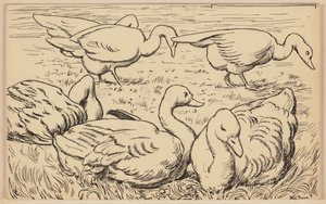 Rajz az ábécéskönyvhöz: Lúd alkotó: Hans Thoma