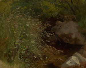 Fűfélék a patak partján alkotó: Hans Thoma