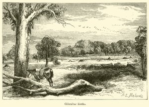 Gibraltári sziklák (metszet) alkotó: Harden Sidney (after) Melville