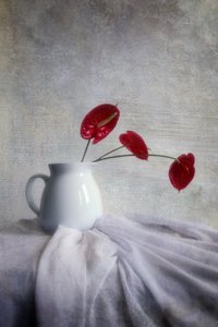  alkotó: Hari Sulistiawan