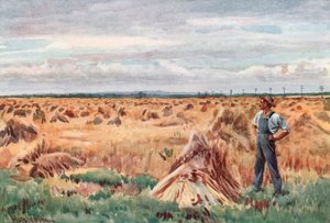 A manitobai búzamezők mentén alkotó: Harold Copping