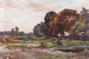 A Corner of Esher Common (színes litográfia) alkotó: Harold Sutton Palmer