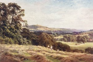A Hayfield, Wonersh (színes litográfia)