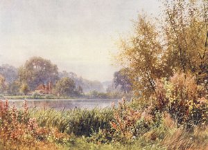 Őszi gyomok, Chilworth (színes litográfia)