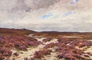 Frensham Common (színes litográfia) alkotó: Harold Sutton Palmer