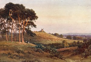 Reigate Heath, esti (színes litográfia) alkotó: Harold Sutton Palmer