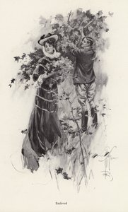 Virágot szedő nő egy férfi csodálójával (litho) alkotó: Harrison Fisher