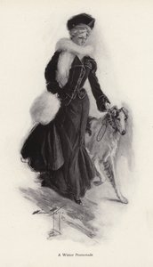 Nő sétáltatja durva collie kutyáját télen (litho) alkotó: Harrison Fisher