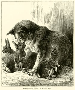 Egy rendkívüli család alkotó: Harrison William Weir