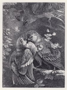 Harc egy veréb és egy veréb között (metszet) alkotó: Harrison William Weir