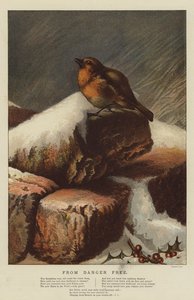 Veszélymentes (chromolitho) alkotó: Harrison William Weir