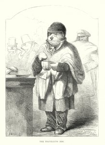 Vicces kutyák: Az utazó kutya (metszet) alkotó: Harrison William Weir