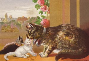 Kandúr és cicái (színes litográfia) alkotó: Harrison William Weir