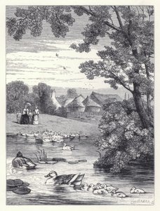 A kacsató (metszet) alkotó: Harrison William Weir