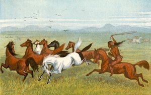 A ló - "A fenyők"