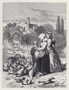 Baromfiudvar (metszet) alkotó: Harrison William Weir