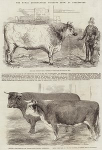 A Royal Agricultural Society kiállítása Chelmsfordban