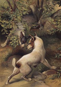 Két kutya próbál elérni egy vízmedencét, hogy igyon (chromolitho) alkotó: Harrison William Weir