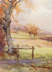 Golfpályák: Broadstone, a negyedik lyuk (színes litográfia)