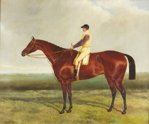 Méhszárny (olaj, vászon) alkotó: Harry (attr. to) Hall