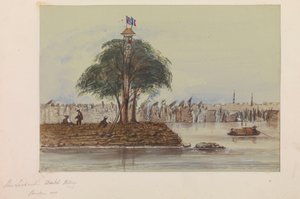 Holland bolondság, Kanton 1858 alkotó: Harry Edmond Edgell