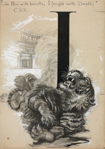 Tigris.