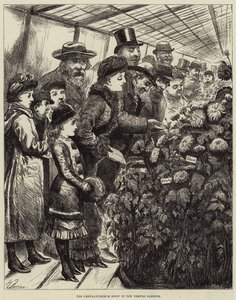A krizantém bemutató a templomkertben alkotó: Harry Furniss