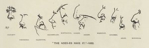 A Noes-es (azaz a politikusok orra) megvan - 1883 (litho) alkotó: Harry Furniss