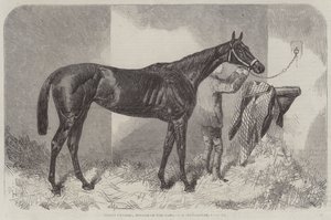 Brown Duchess, a Tölgyek győztese alkotó: Harry Hall