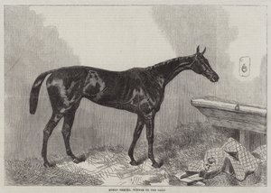 Bertha királynő, a tölgyek győztese