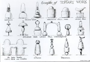 Példák a topiári munkára, 1902 alkotó: Harry Inigo Triggs