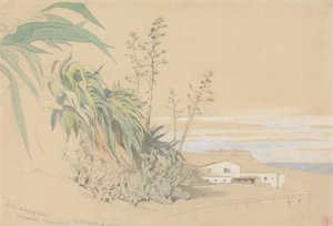 Aloe és fügekaktusz, Tarragona, Spanyolország