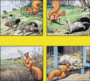 Kis Vörös Mókus