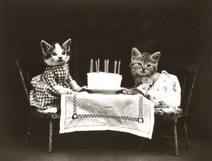 Cicák sorozat: 1914 körül (ezüstnyomat).