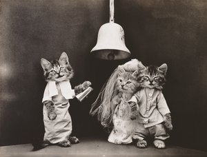 Cicák sorozat: 1914 körül (ezüstnyomat)