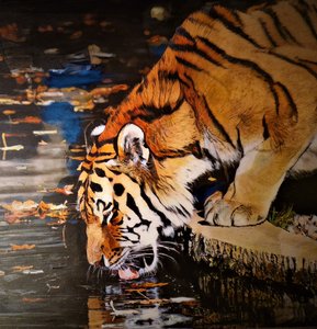 Tigris
