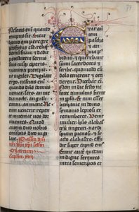 Evangéliumi könyv evangélista portrékkal: Díszített iniciálé, c. 1480. alkotó: Hausbuch Master