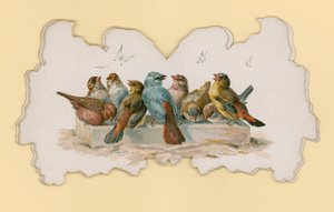 Madarak (színes litó) alkotó: Hector Giacomelli