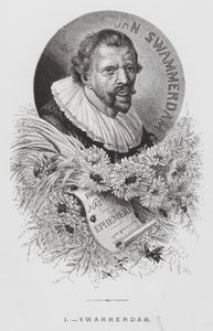 A rovar: Swammerdam (metszet) alkotó: Hector Giacomelli