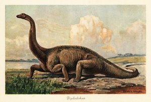 A síkságon kihalt Diplodocus longus.