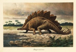 Stegosaurus armatus a késő jura.